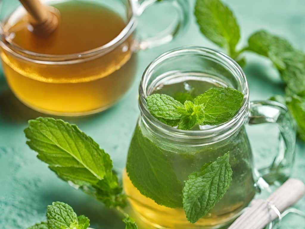 Fresh Herbal Cup 2